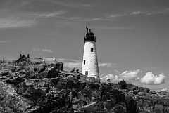 Wood Island Lighthouse Tower over Seabirds -BW